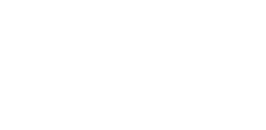 Logo Evolua Finanças